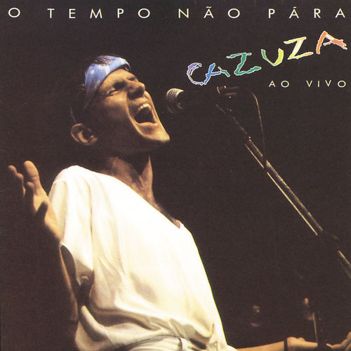 Capa de Codinome Beija Flor